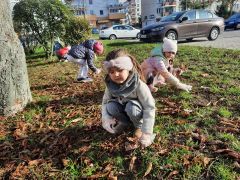 większy obrazek nr 6