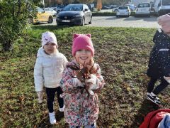 większy obrazek nr 8