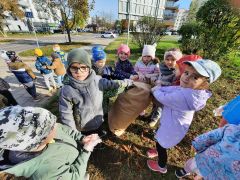 większy obrazek nr 11