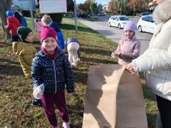 większy obrazek nr 26