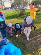 większy obrazek nr 27