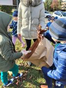 większy obrazek nr 29