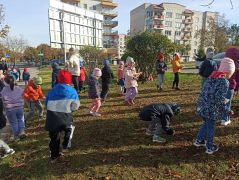 większy obrazek nr 37