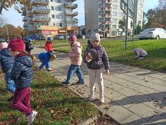 większy obrazek nr 38