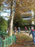 większy obrazek nr 40