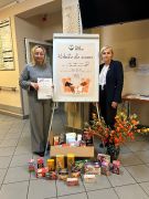 większy obrazek nr 2