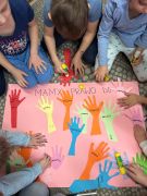 większy obrazek nr 15