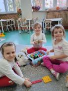 większy obrazek nr 9