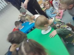 większy obrazek nr 63