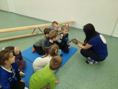 większy obrazek nr 1