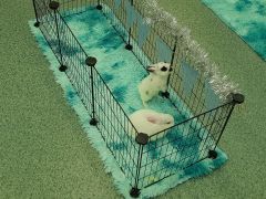 większy obrazek nr 2