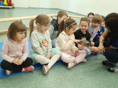 większy obrazek nr 3