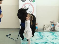 większy obrazek nr 5