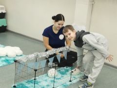 większy obrazek nr 6