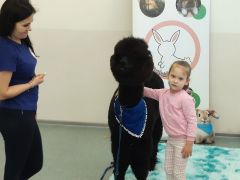 większy obrazek nr 7