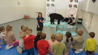 większy obrazek nr 8