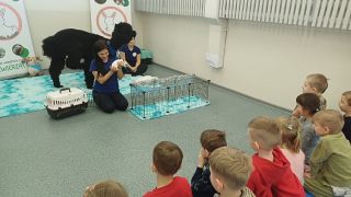 większy obrazek nr 9