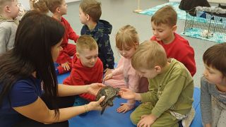 większy obrazek nr 12