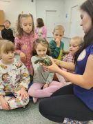 większy obrazek nr 30