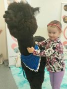 większy obrazek nr 31