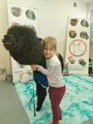 większy obrazek nr 32