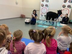 większy obrazek nr 36