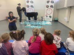 większy obrazek nr 37