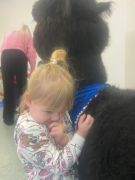 większy obrazek nr 42