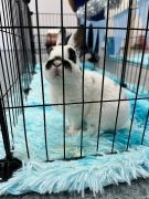 większy obrazek nr 43