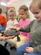 większy obrazek nr 46