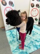 większy obrazek nr 50