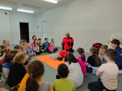 większy obrazek nr 43