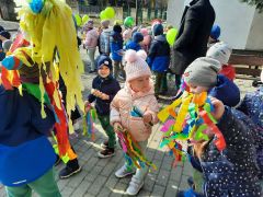 większy obrazek nr 8