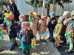 większy obrazek nr 10