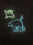 większy obrazek nr 5