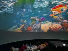 większy obrazek nr 18