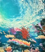 większy obrazek nr 31