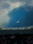 większy obrazek nr 46