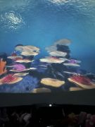 większy obrazek nr 47