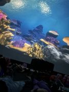 większy obrazek nr 48