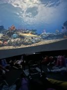 większy obrazek nr 50