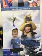 większy obrazek nr 52