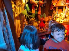 większy obrazek nr 8