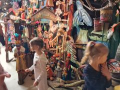 większy obrazek nr 11