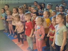 większy obrazek nr 17