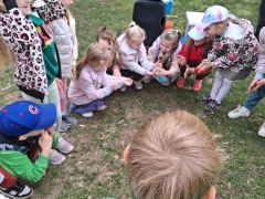 większy obrazek nr 7