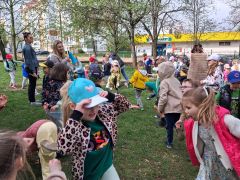 większy obrazek nr 9