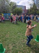 większy obrazek nr 12