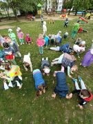 większy obrazek nr 17