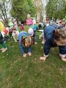 większy obrazek nr 18